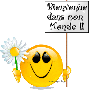 Bienvenue dans ton palais